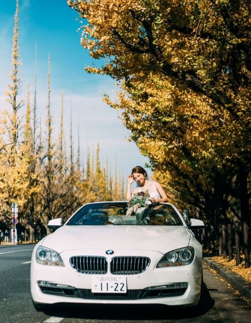 マリスタナビについて